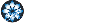 King David Center Rehab Logo