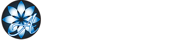 King David Center Rehab Logo